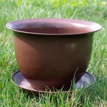 Photo of Camellia Biodegradable 9" Pot & Saucer