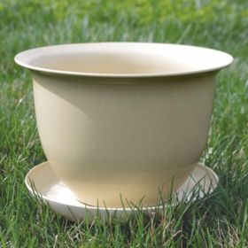 Photo of Camellia Biodegradable 9" Pot & Saucer