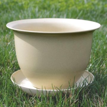 Photo of Camellia Biodegradable 9" Pot & Saucer