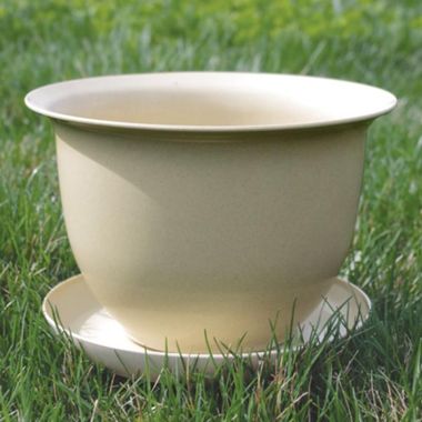 Photo of Camellia Biodegradable 9" Pot & Saucer