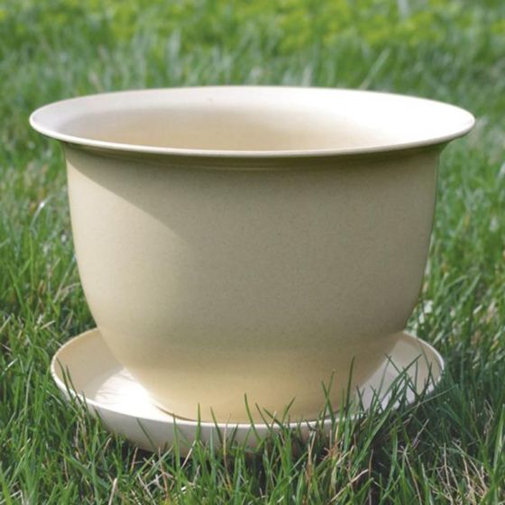 Photo of Camellia Biodegradable 9" Pot & Saucer
