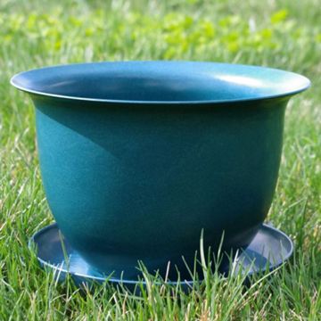 Photo of Camellia Biodegradable 9" Pot & Saucer