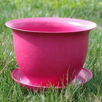 Photo of Camellia Biodegradable 9" Pot & Saucer