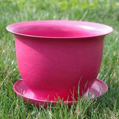 Photo of Camellia Biodegradable 9" Pot & Saucer