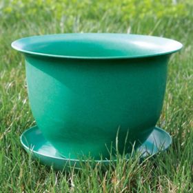 Photo of Camellia Biodegradable 9" Pot & Saucer