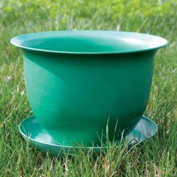 Photo of Camellia Biodegradable 9" Pot & Saucer