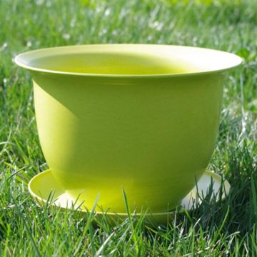 Photo of Camellia Biodegradable 9" Pot & Saucer