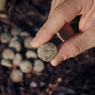 Photo of Time-Release Fertilizer Pills