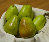 Sweet Red Anjou Pear Native Fruit Tree Seeds Non GMOFresh Premium 2021 