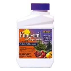 Photo of Bonide® Fung-onil™ Multi-Purpose Fungicide