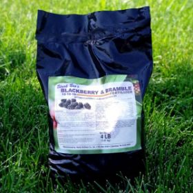 Photo of Stark® Blackberry & Bramble Fertilizer