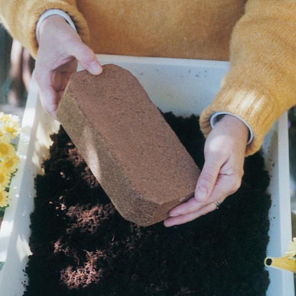 CocoFiber Planting Medium Stark Bro’s