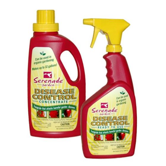 Photo of Serenade® Garden Disease Control