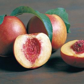 Photo of Stark® Crimson Gold Nectarine Tree