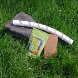 Photo of Stark® Tree Success Kit