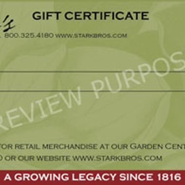 Photo of Gift Certificate