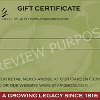 Photo of Gift Certificate