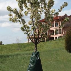 Photo of DeWitt Dew Right Drip Irrigation Bag