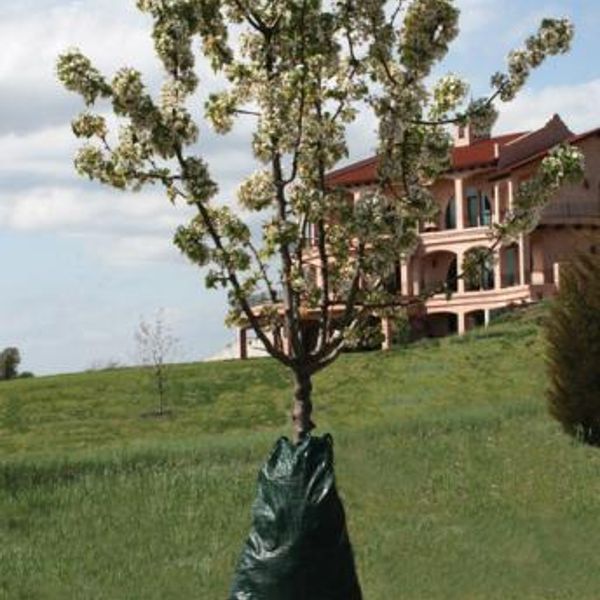 Photo of DeWitt Dew Right Drip Irrigation Bag