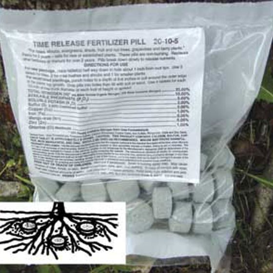 Photo of Time-Release Fertilizer Pills
