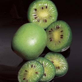 Photo of Anna Hardy Kiwi Vine