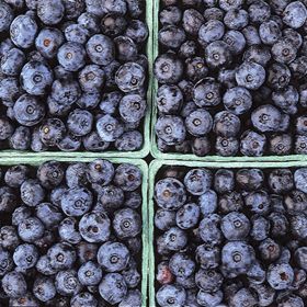 Photo of All-Season Blueberry Collection