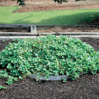 Photo of Pyramid Planter