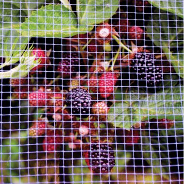 Photo of American Nettings & Fabric Big Bug Netting