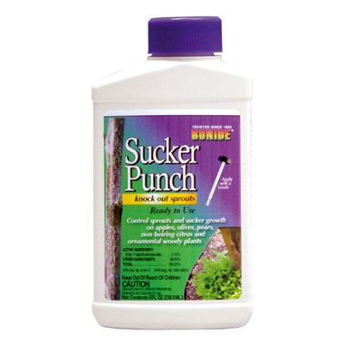 Photo of Bonide® Sucker Punch