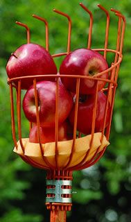 Photo of Economy Fruit Harvester