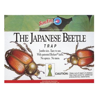 Photo of Japanese Beetle Trap