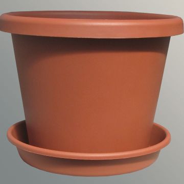 Photo of PlasTerra® Classic 10" Pot & Saucer