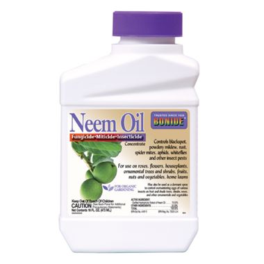 Photo of Bonide® Neem Oil