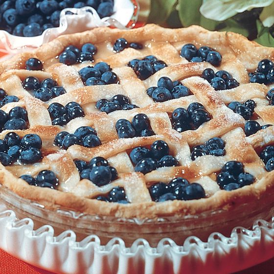 Photo of Jersey Blueberry Plant