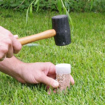 Photo of Fruit Tree & Ornamental Gro-Stakes®