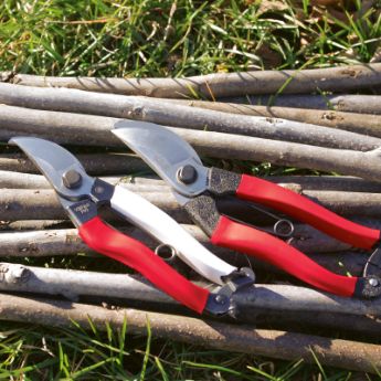 Pruning Tools