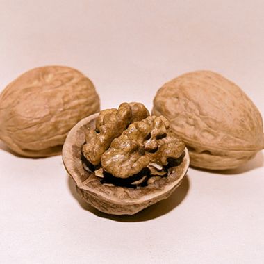 Photo of Deluxe English Walnut Tree Collection