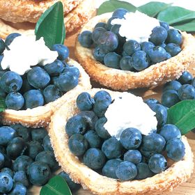 Photo of Blueberry Shortcake Collection