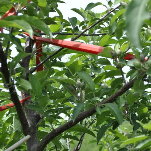 Photo of Limb Spreaders