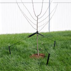 Photo of DeWitt Tree Stake Kit