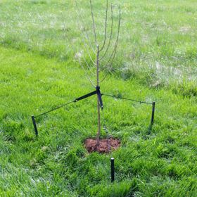 Photo of DeWitt Tree Stake Kit