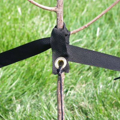 Photo of DeWitt Tree Stake Kit