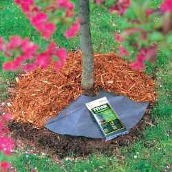 Photo of Typar® Tree Circles