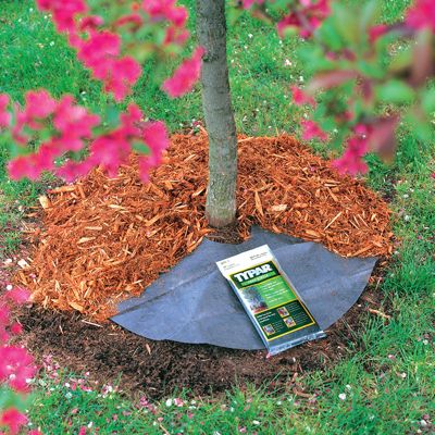 Photo of Typar® Tree Circles