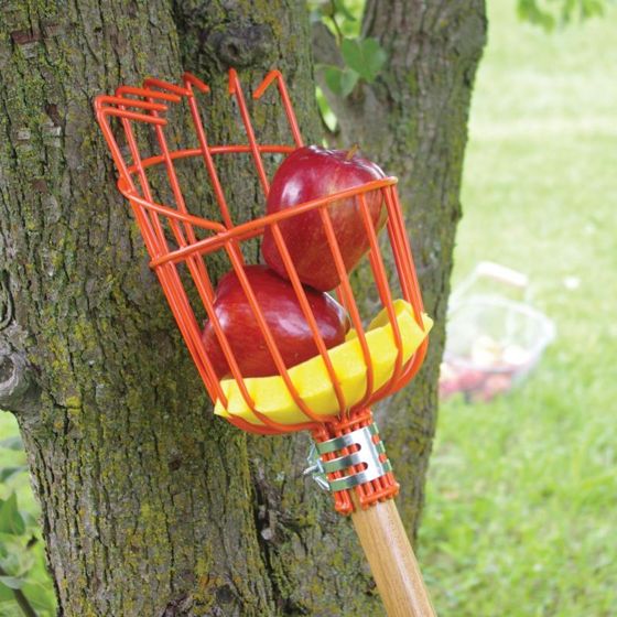 Photo of True Temper® Fruit Harvester