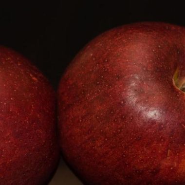 Photo of WineCrisp™ Apple Tree