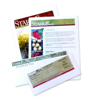 Gift Certificates & Seasonal Items