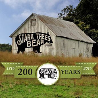 Bicentennial Books, image of bear barn