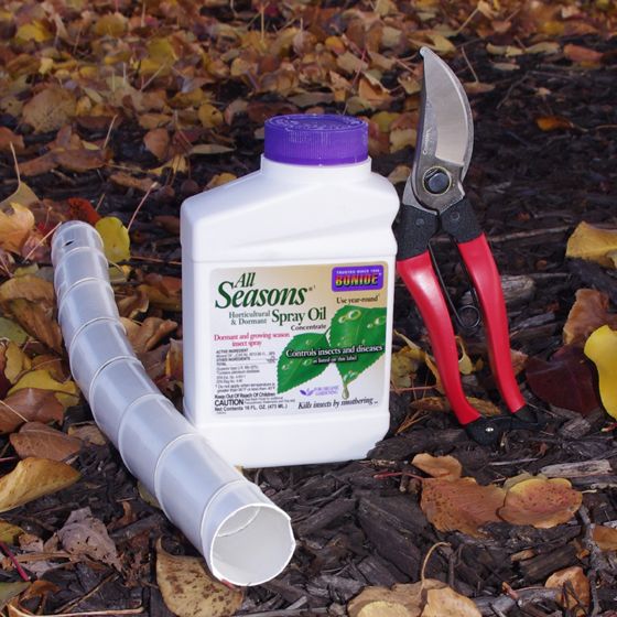 Photo of Winter Tree Success Kit