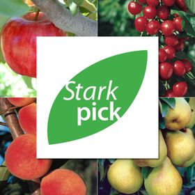 Photo of Stark Picks Easy-Care Orchard-In-A-Box®